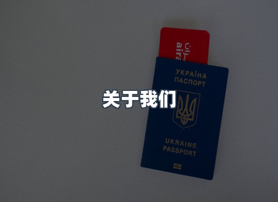 关于我们